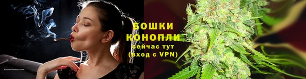 сатива Баксан