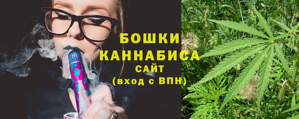 сатива Баксан