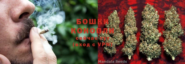 сатива Баксан