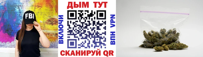 наркотики Краснообск Каннабис индика